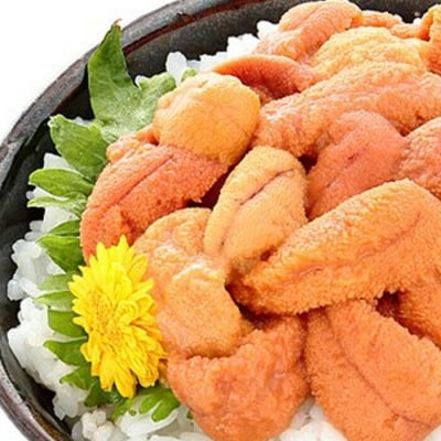 エゾバフンウニ塩水パック90～100g×2P[2026年3月上旬以降発送] B-81008