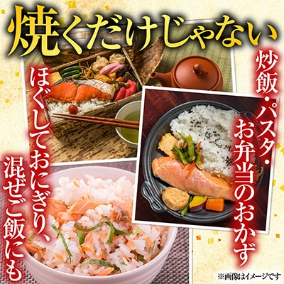 甘塩紅鮭5切×3P、甘塩時鮭5切×2Pセット A-30007