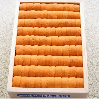 ムラサキウニ250g×1折[7月上旬以降発送] C-53006