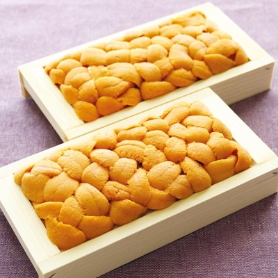 エゾバフンウニ100g×2折[2026年2月下旬以降発送] F-40001