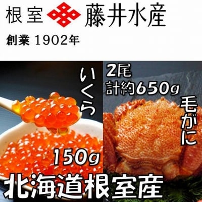 【北海道根室産】いくら醤油漬け150g、毛がに2尾(計約650g) B-42073