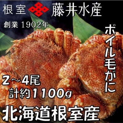 【北海道根室産】ボイル毛がに2～4尾(計約1.1kg) B-42079