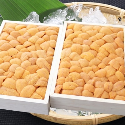 <計300g>エゾバフンウニバラ詰め150g×2折[5月中旬以降発送] B-53006