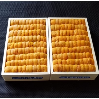 エゾバフンウニ並べ詰め150g×2折[2026年2月下旬以降発送] D-53037