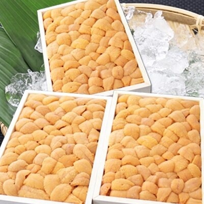 エゾバフンウニバラ詰め250g×3折[2026年3月上旬以降発送]  E-53005