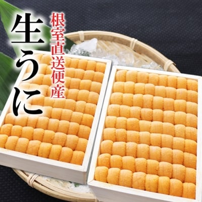 エゾバフンウニ並べ詰め150g×2折 D-71046