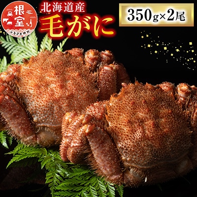 毛がに350g×2尾 A-54011