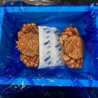 毛がに350g×2尾 A-54011