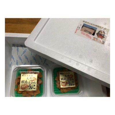 エゾバフンウニパック詰め100g×2P[10月中旬以降発送] F-73007