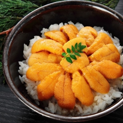 エゾバフンウニ塩水パック100～110g×2P C-24003