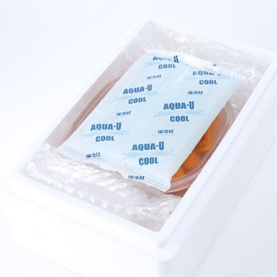 エゾバフンウニ塩水パック100～110g×2P[11月上旬以降発送] C-24003