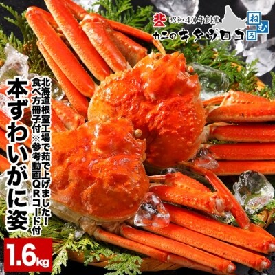 本ズワイガニ2尾 計1 6kg前後 C お礼品詳細 ふるさと納税なら さとふる