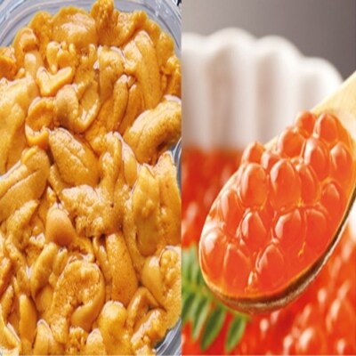 エゾバフンウニ塩水パック150g×1P、いくら醤油漬150g×1P D-53026