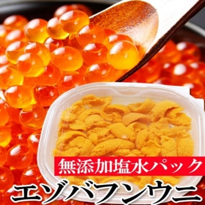 エゾバフンウニ塩水パック1P、いくら醤油漬(鱒卵)1P[11月下旬以降発送] E-40016