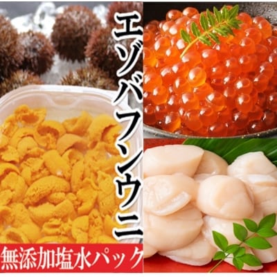ウニ塩水パック1P、いくら(鱒卵)1P、ホタテ500g[2027年1月中旬以降発送] E-40004
