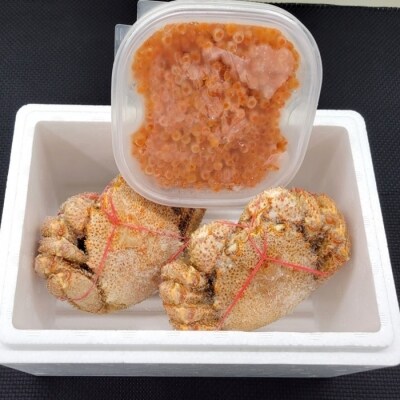 エゾバフンウニ塩水パック1P、いくら1P、毛ガニ2尾 E-40005