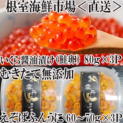 エゾバフンウニ塩水パック60～70g×3P、いくら80g×3P F-11005