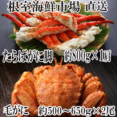 ボイル毛がに約500～650g×2尾、ボイルたらばがに脚約800g×1肩 F-28018