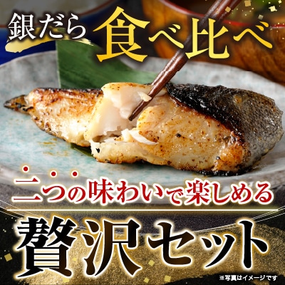 塩銀だら9切&銀だらみりん漬け9切セット B-09060