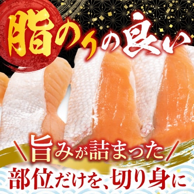 塩サーモンハラミ1切(約40g)×45P B-09063