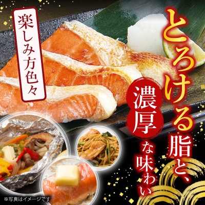 塩サーモンハラミ1切(約40g)×45P B-09063
