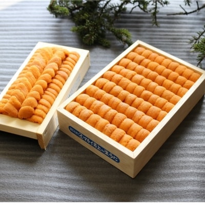 エゾバフンウニ1折、エゾバフンウニ並べ詰め1折 D-71037