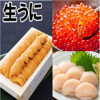 ウニ1折、いくら醤油漬け1P、お刺身ホタテ貝柱1P[11月下旬以降順次発送] E-71015