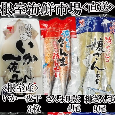 【北海道根室産】根室海鮮市場<直送>いか一夜干し3尾・さんま明太4尾・糠さんま9尾 A-28182