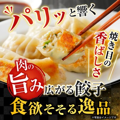 餃子、紅鮭10切、いくら100g、ほたて200g B-30027