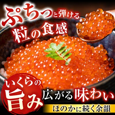 いくら醤油漬、紅鮭5切、ほたて、味付けジンギスカン B-30033