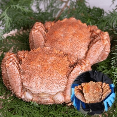 【年内配送】ボイル毛がに1kg以上×2尾 E-45002