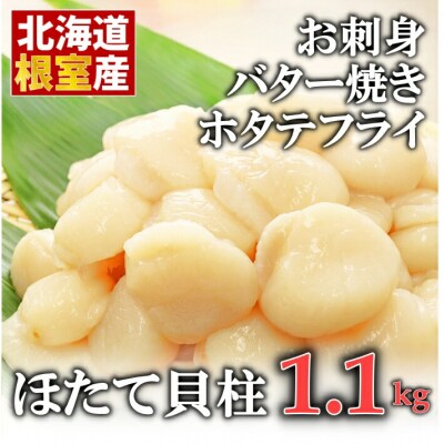 【北海道根室産】お刺身用ほたて貝柱1.1kg A-10020