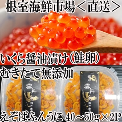 エゾバフンウニ塩水パック(赤系)40～50g×2P、いくら醤油漬(鮭卵)80g×1P A-11186