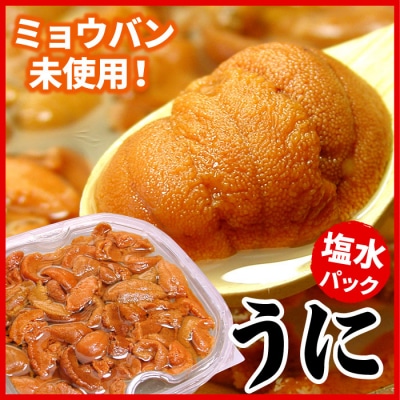 【年内配送可】エゾバフンウニ(赤色)塩水パック100g×1P B-07018