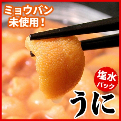 エゾバフンウニ(黄色)塩水パック70g×1P[10月下旬以降発送] B-07019