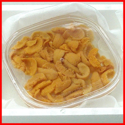 【年内配送可】エゾバフンウニ(黄色)塩水パック70g×1P B-56017