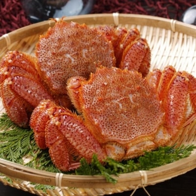 【北海道根室産】浜ゆで毛がに300～400g×2尾 F-05006