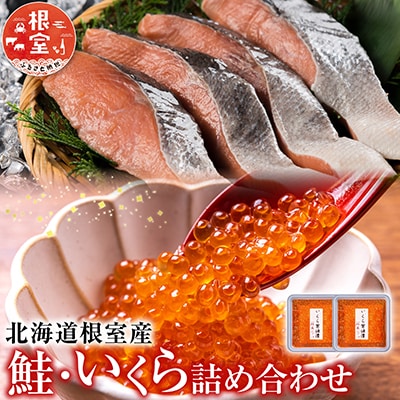 【北海道根室産】鮭・いくら詰合せ A-42064