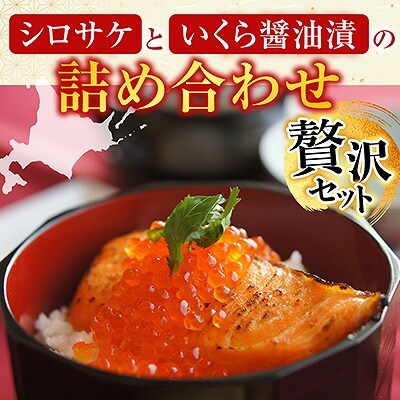 ＜鮭匠ふじい＞鮭・いくら詰合せ A-42064