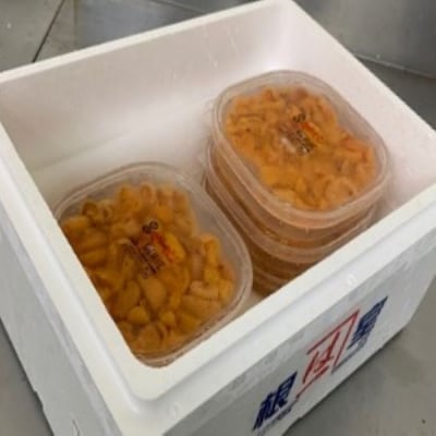 塩水ウニ85g前後×5P D-60004