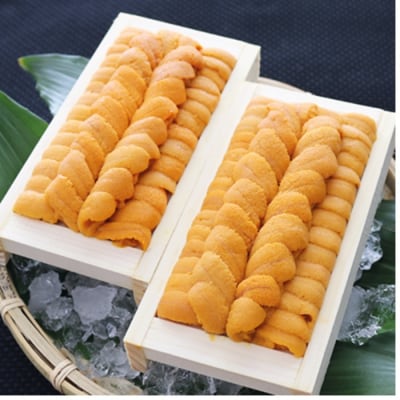 エゾバフンウニ90～100g×2折 C-71004