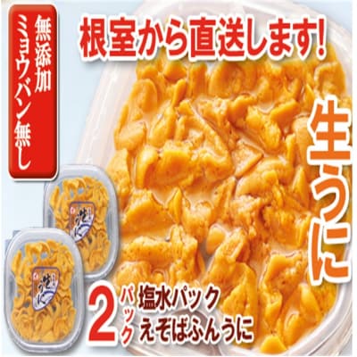 エゾバフンウニ塩水200g×2P E-71031