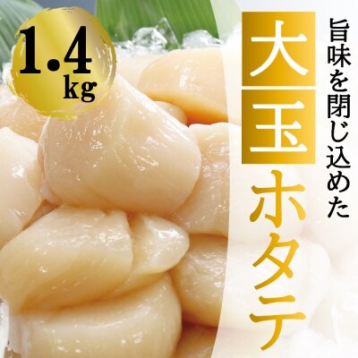 【北海道根室産】ホタテ貝柱(刺身用)1.4kg B-32029