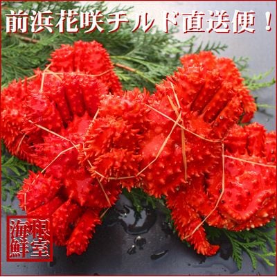 【北海道根室産】茹でたて花咲ガニ5～6尾(計1.6kg前後)(チルド便) A-57052
