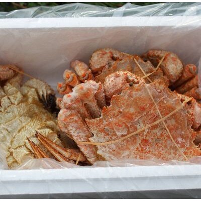 【北海道根室産】クリガニ3尾(計1kg前後) A-57053