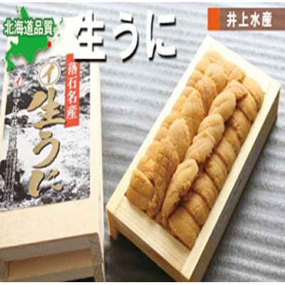 ムラサキウニ140g×2折[7月上旬以降発送] C-71001