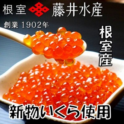 【北海道根室産】<鮭匠ふじい>いくら醤油漬720g(80g×9P) C-42065