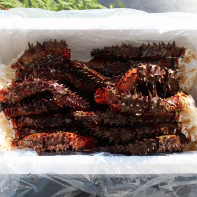 【北海道根室産】活〆花咲ガニ生足鉄砲汁用2kg(1kg×2P) A-57048