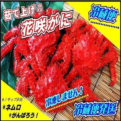 【北海道根室産】花咲がに4～6尾(計3kg以上)(チルド便) D-59033