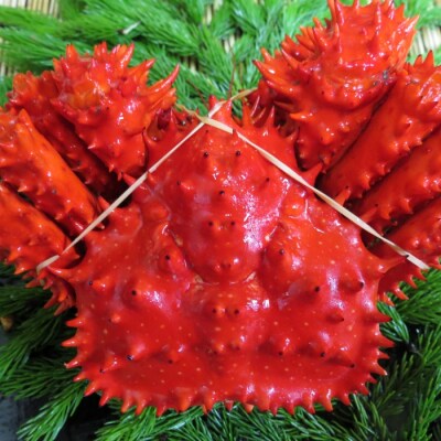 【北海道根室産】ボイル花咲かに400～490g×4尾 A-72013